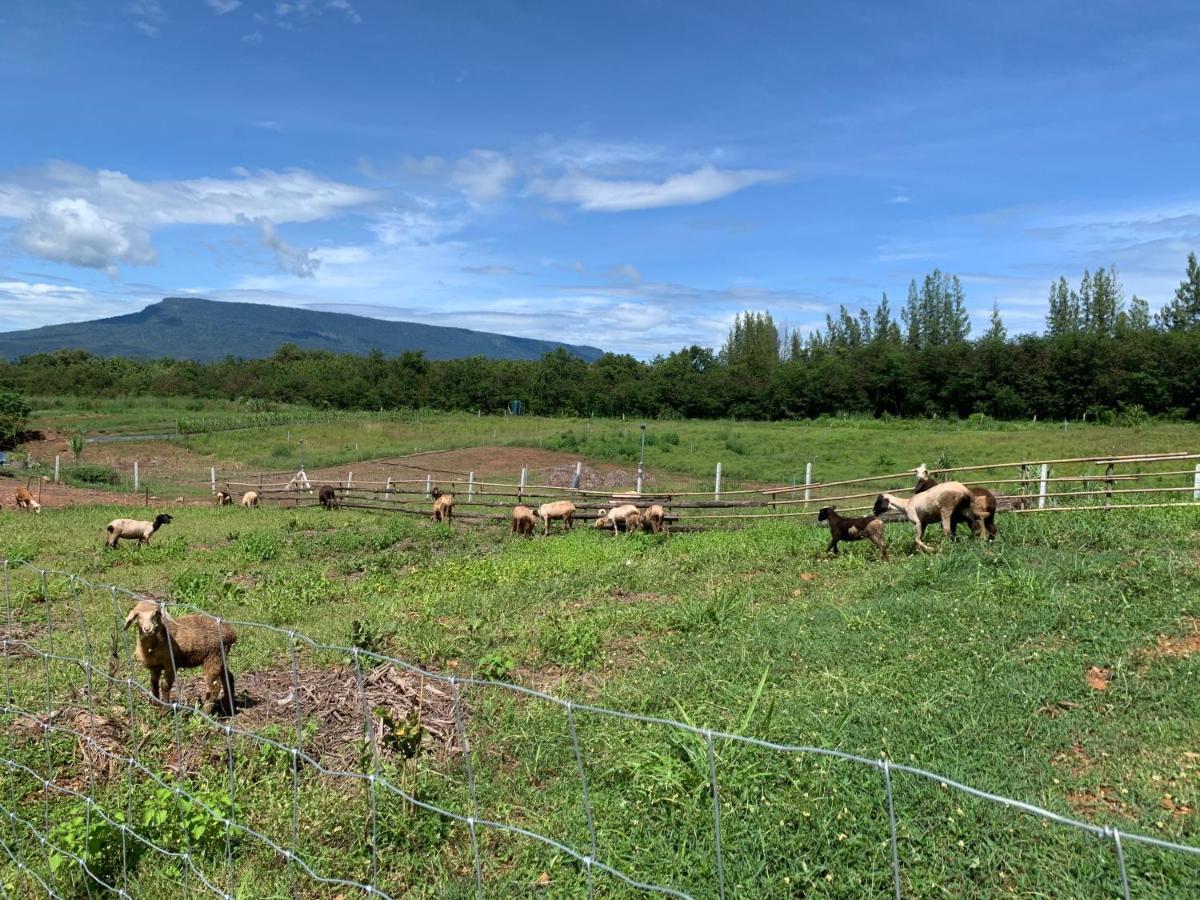 ฟาร์มแกะภูกระดึง Waraporn Valley Ban Nong Tum Exterior photo