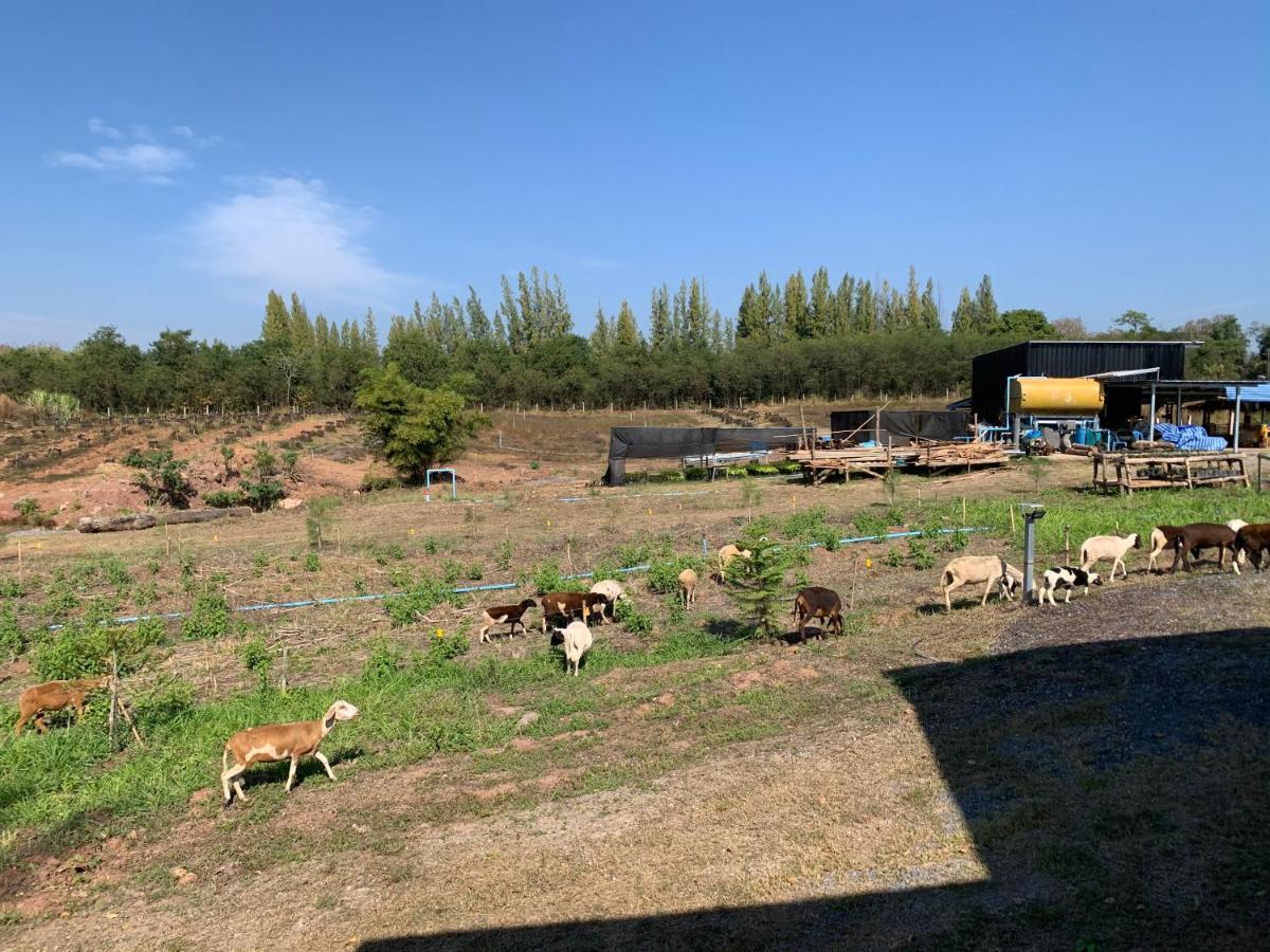 ฟาร์มแกะภูกระดึง Waraporn Valley Ban Nong Tum Exterior photo